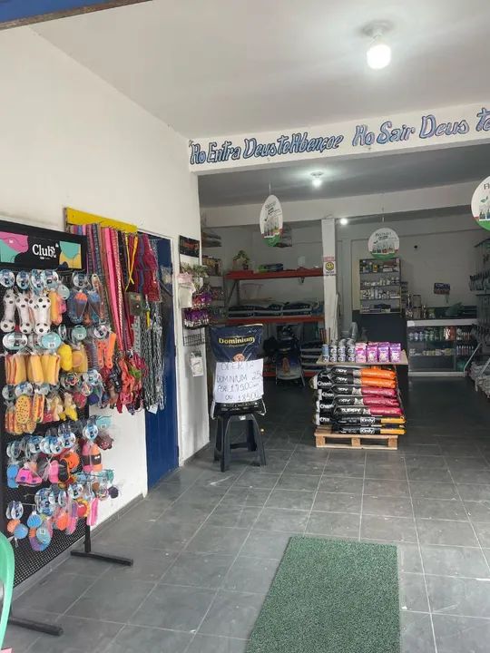 Ração para gatos castrados - Diversas marcas e tamanhos - Foto 4