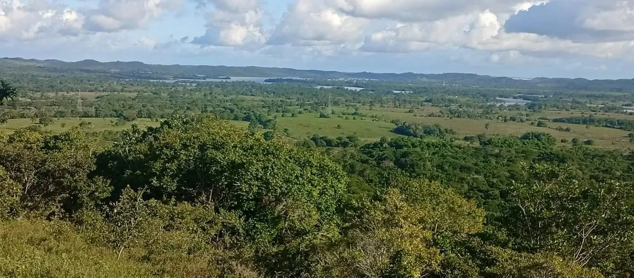 PROPRIEDADE ESCRITURADA COM 460.000,00mts² em ESTRADA JK - Mata de São João - BA
