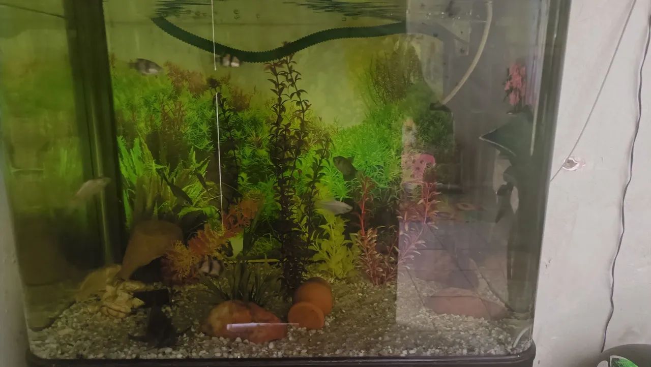 Aquário de 100L com Acessórios - Foto 4