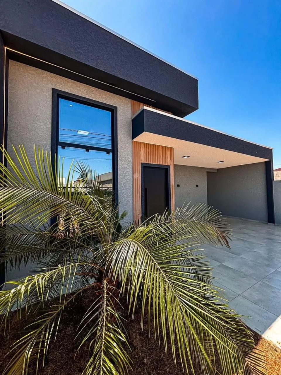 Foto - Ponta Grossa - Cará-cará