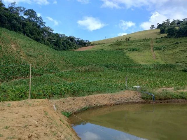 PEDRA AZUL - SÍTIO 50 MIL M2 - OPORTUNIDADE - Foto 4