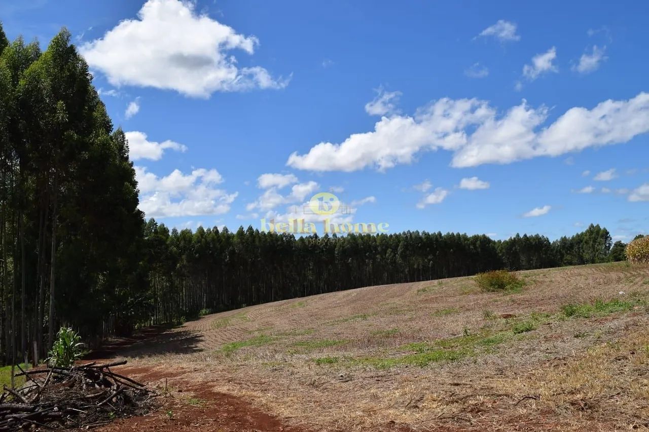Fazenda à venda 6M², Centro, São Sebastião da Amoreira - PR