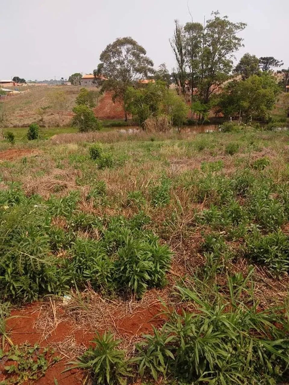 CHÁCARA GUARAVERA  - Foto 3