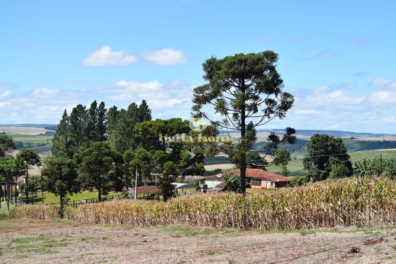 Fazenda à venda 6M², Centro, São Sebastião da Amoreira - PR - Foto 3