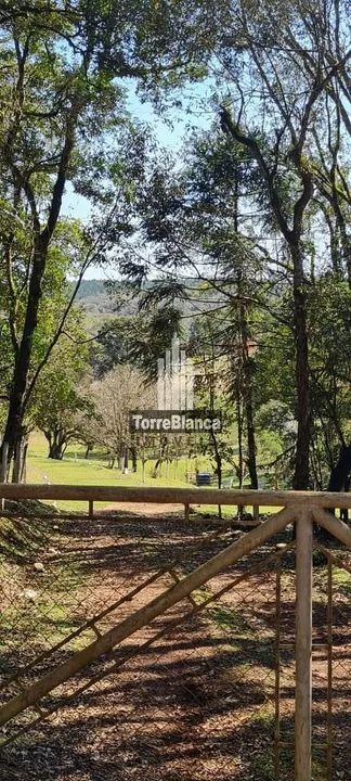 Chácara com 5 dormitórios à venda - Foto 4