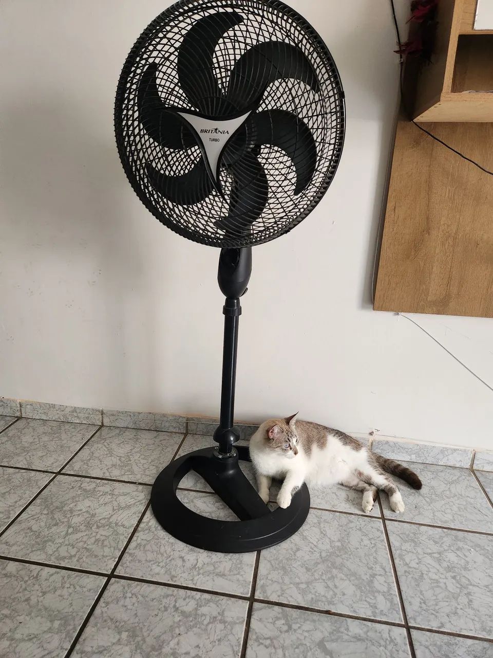 Ventilador de Pé Britânia Turbo 1800- Retirada de peças ou conserto - Foto 2