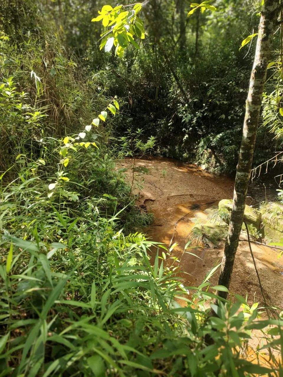 Foto - Santo Antônio do Descoberto - 
