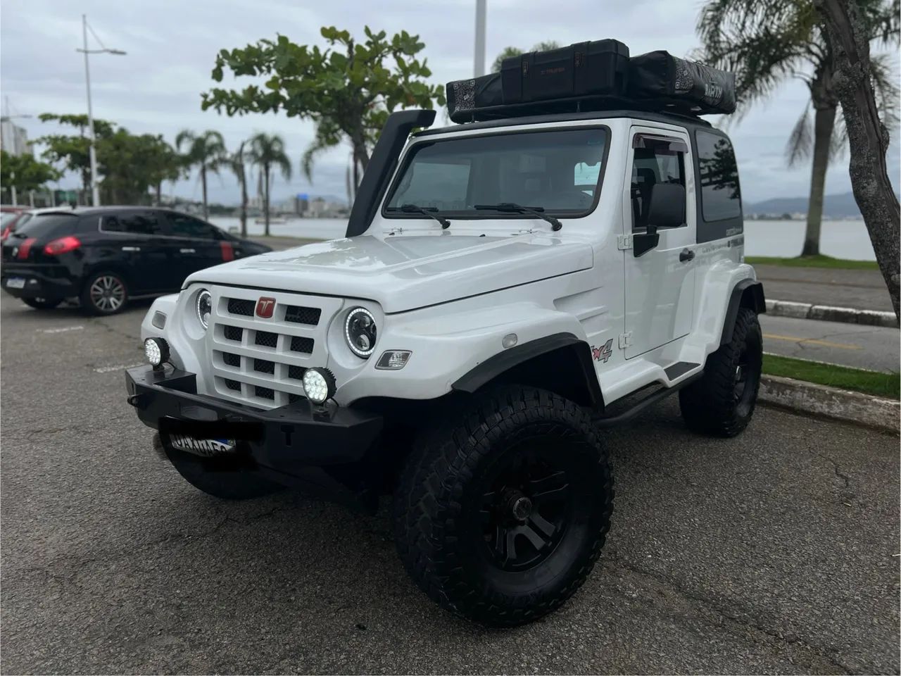 Troller T-4 4X4 3.0 TB Int. Cap. Rígida Diesel 2011
