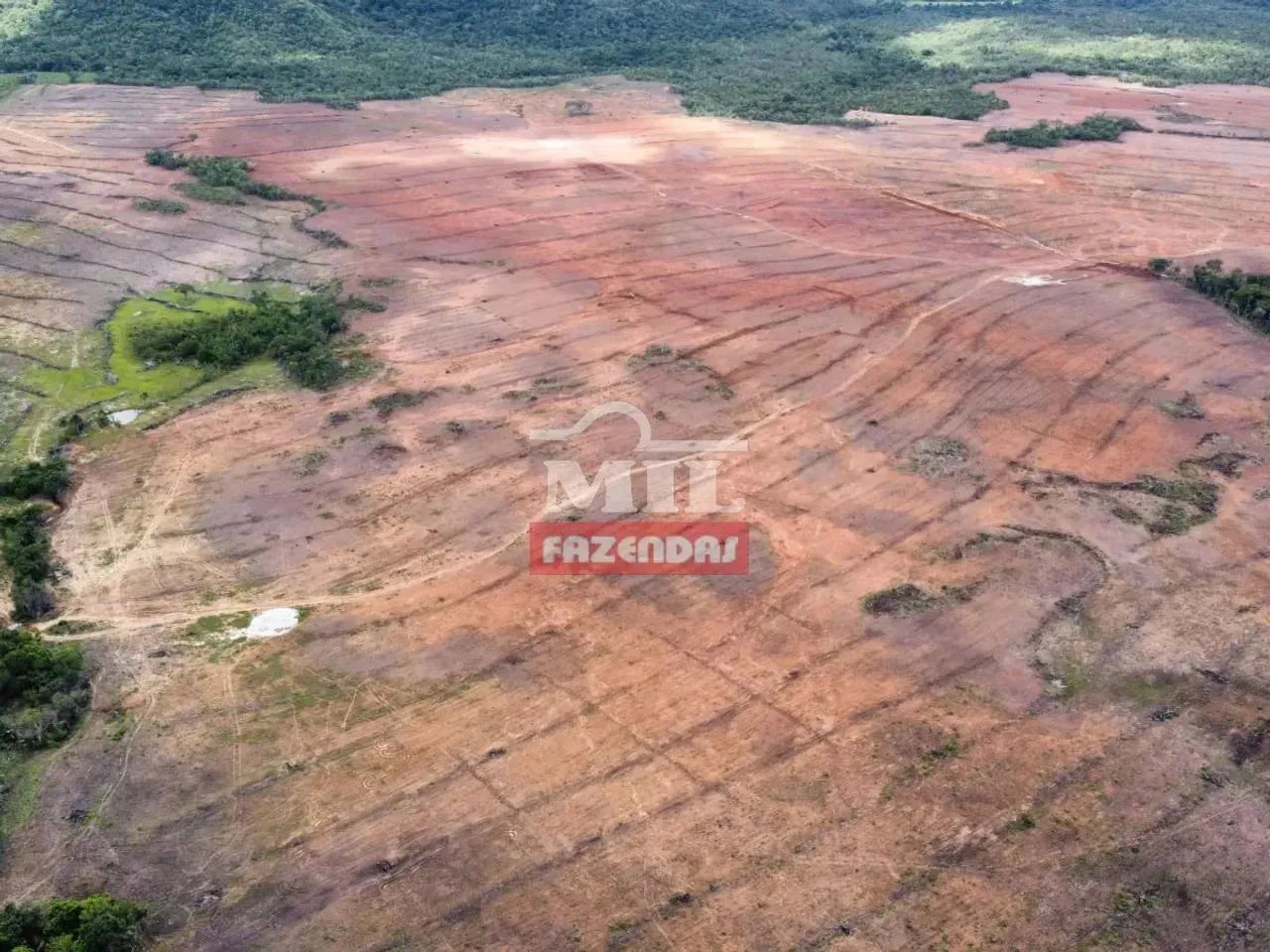 Fazenda 314 alqueires (1.519 hectares) Fatima - TO - Foto 4