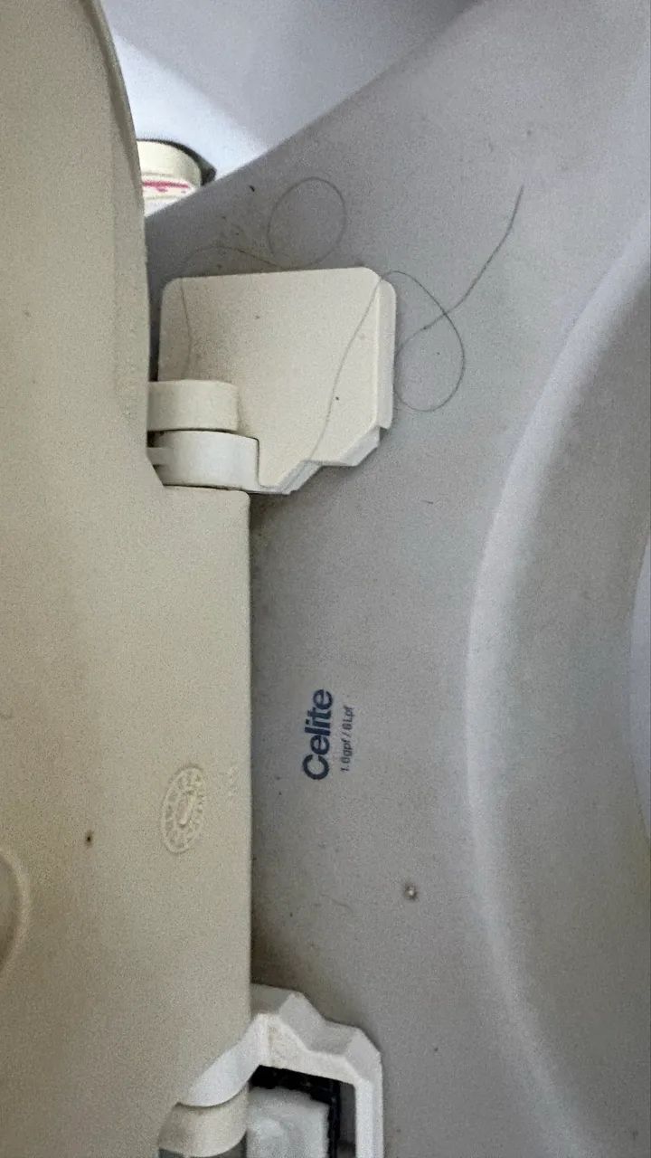Vende se excelente vaso  - Foto 2