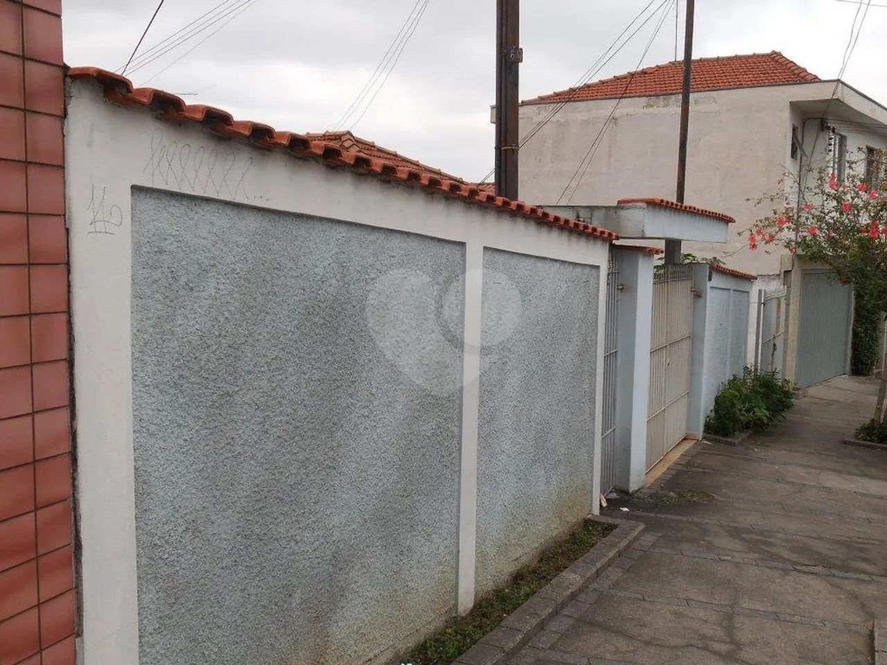 Terreno à venda em Vila maria alta - SP - Foto 2