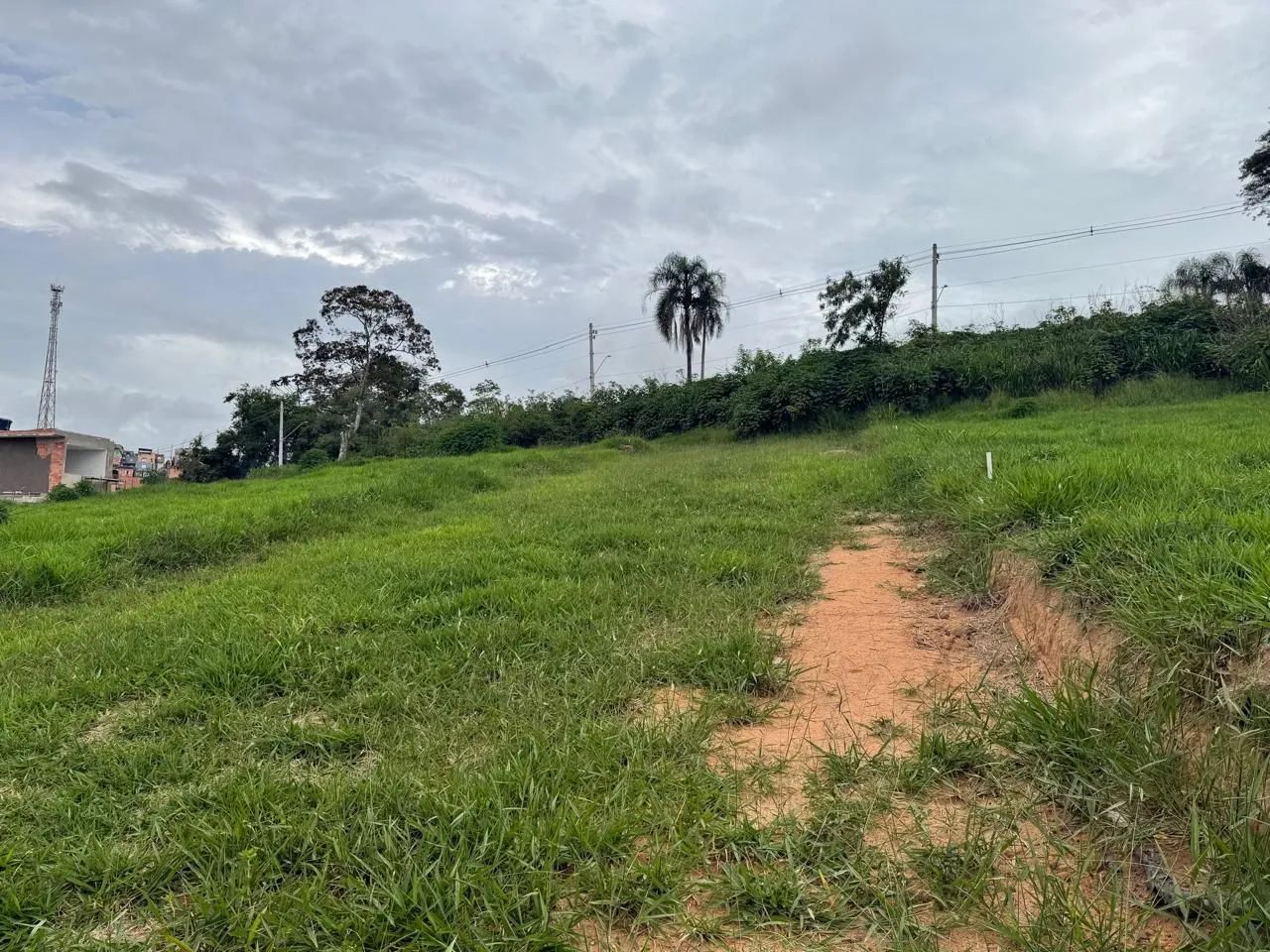 Foto - São Paulo - Chácara Santa Maria