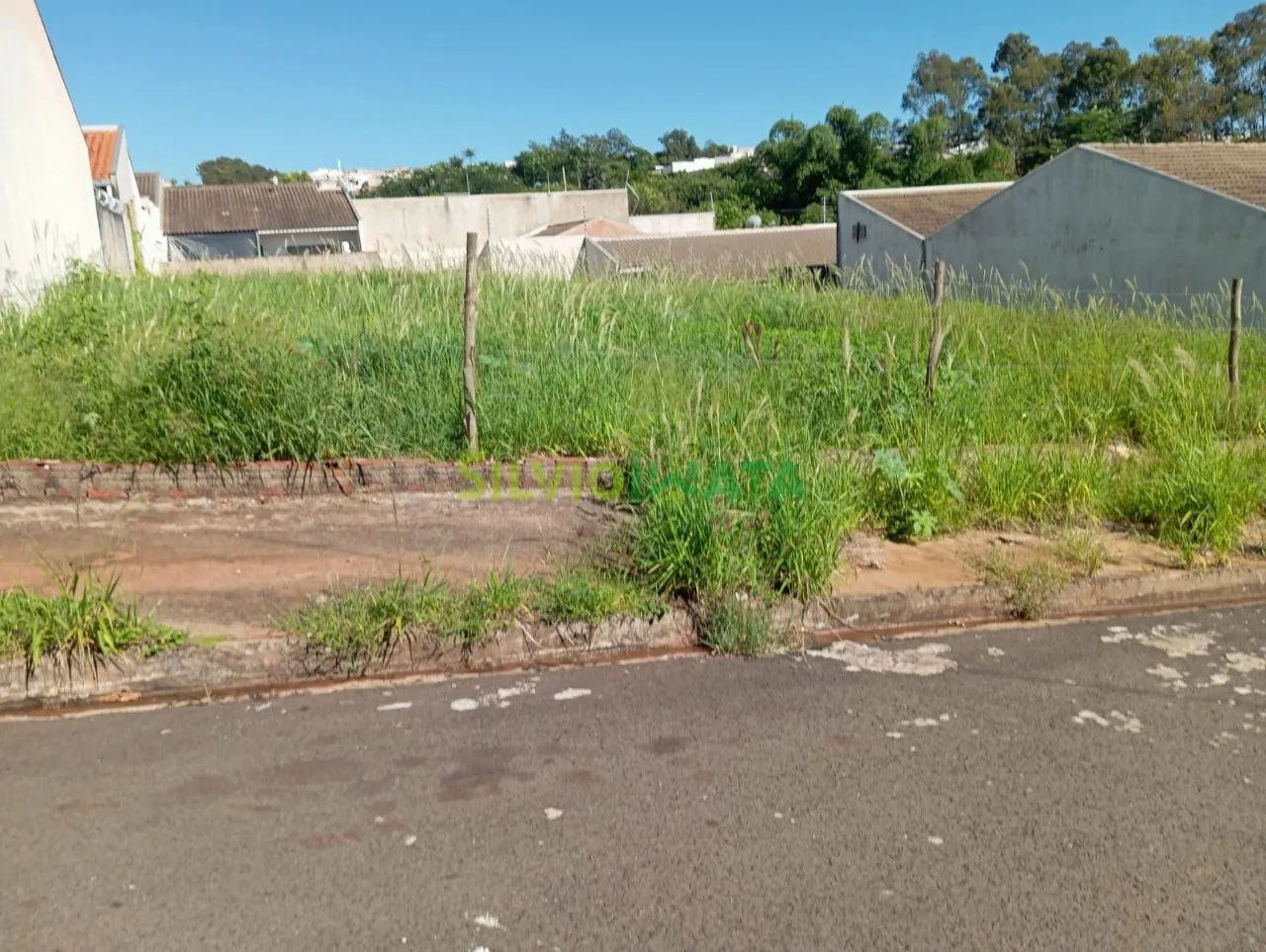TERRENO À VENDA EM MANDAGUAÇU OPORTUNIDADE IMPERDÍVEL! - Foto 4