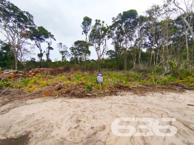 Terreno | São Francisco do Sul | Ervino - Foto 3