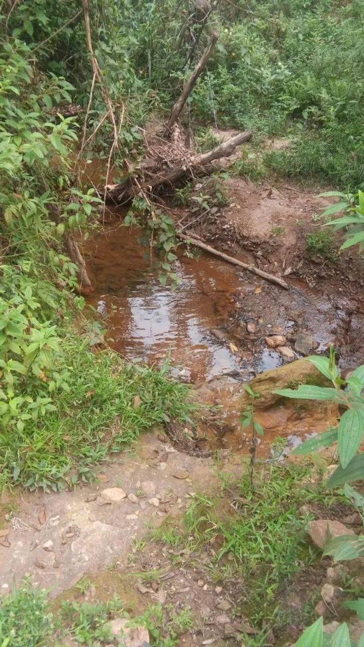 Terreno à venda em Raposos 30 hectares - Foto 3