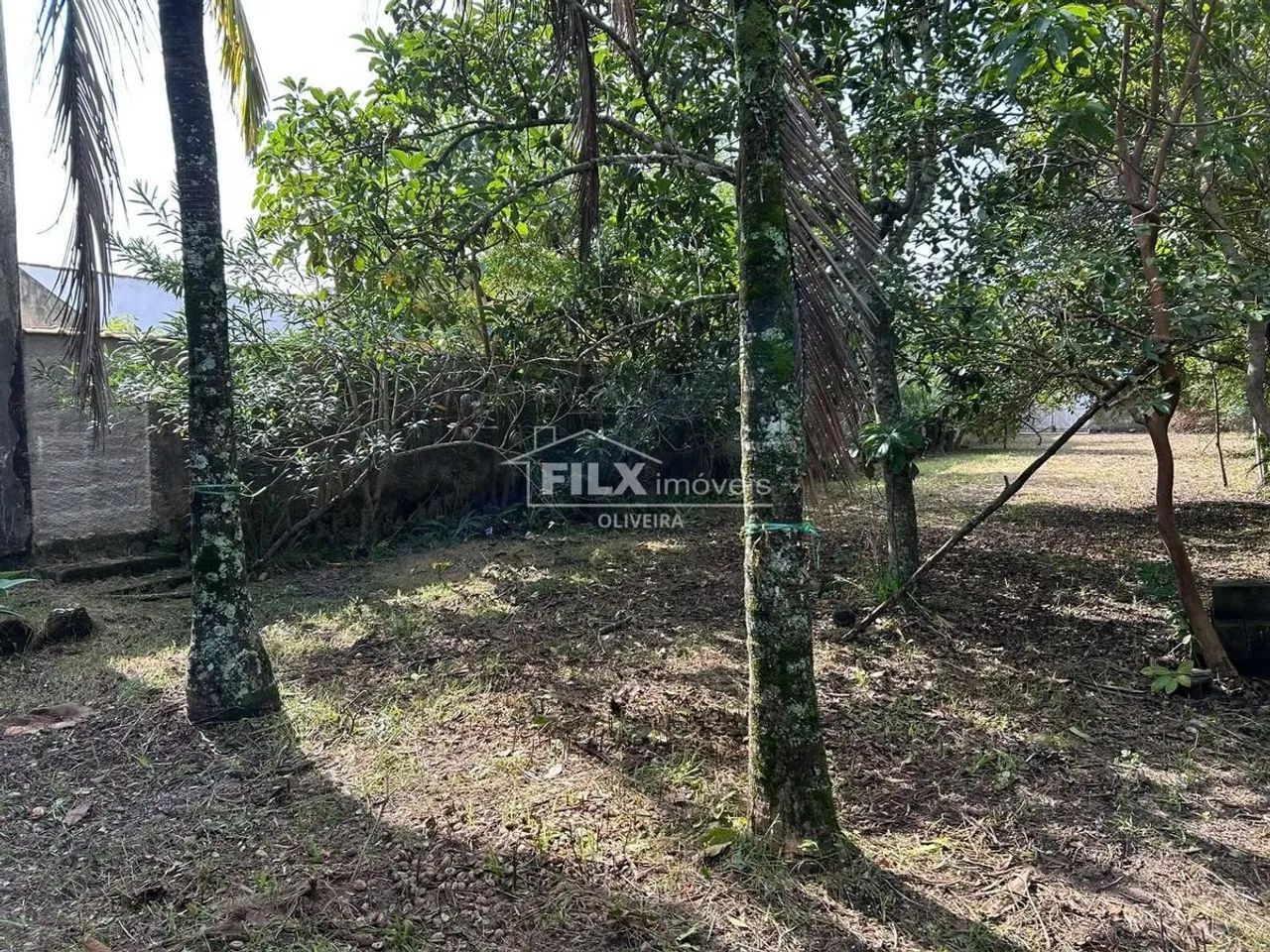 Lote/Terreno, Suarão - Itanhaém - Foto 3