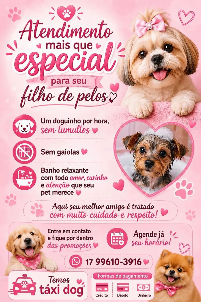 Banho e tosa 