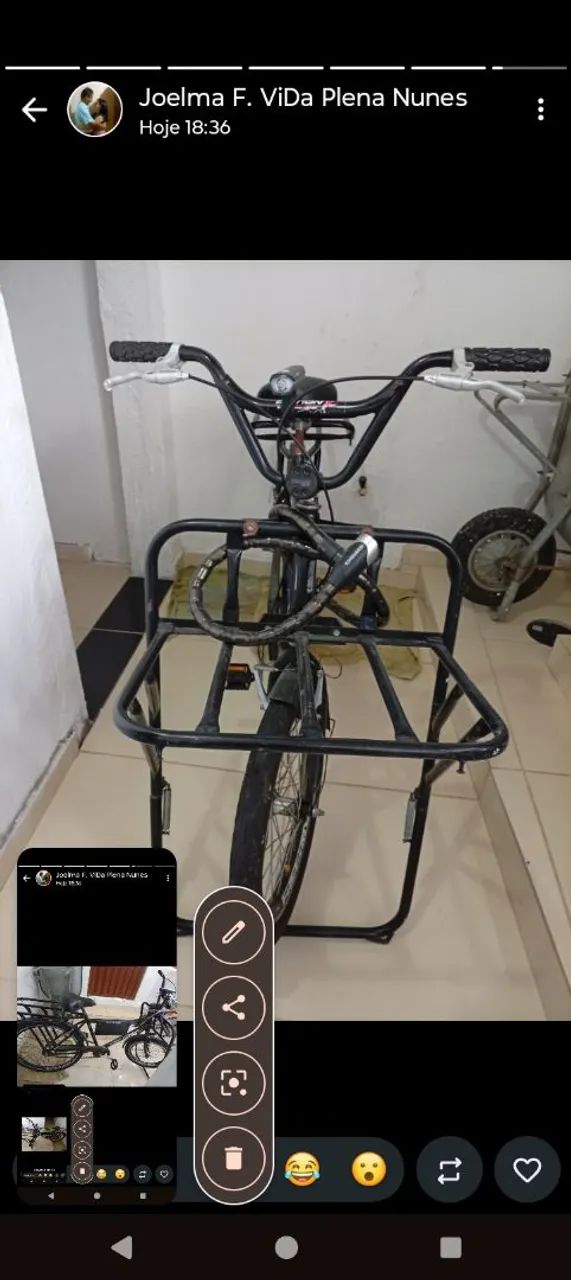 Bicicleta de Carga.