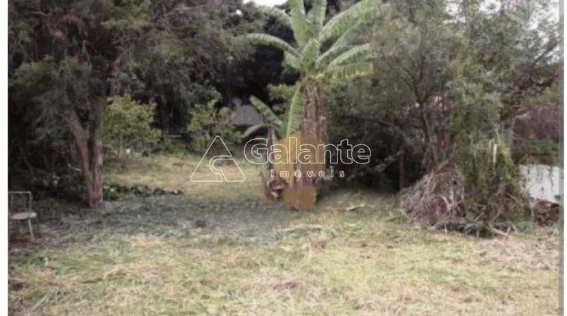 terreno - Vila Industrial - Campinas - Foto 4