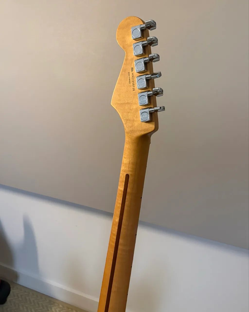 Fender México 2012 - Foto 5