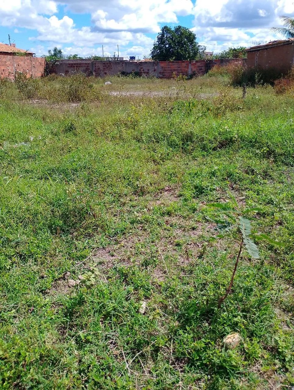 Terreno  - Foto 2