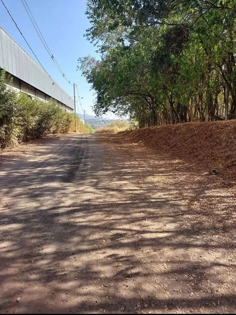 Dois lotes de 360m cada  - Foto 4