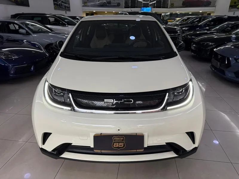 BYD Dolphin GS (Elétrico) 2024 - Foto 2