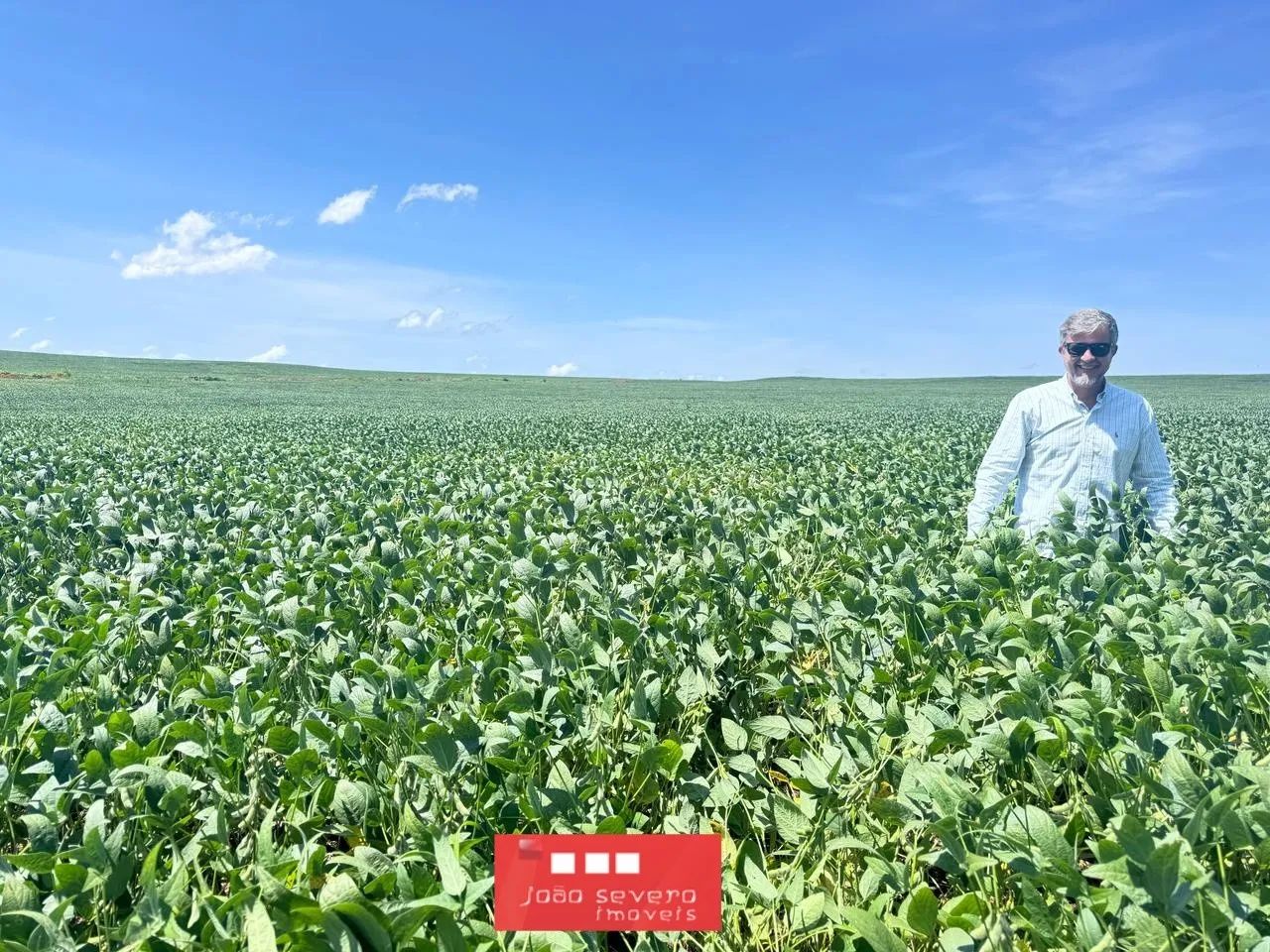 Fazenda para Venda em Pedro Afonso - Foto 5
