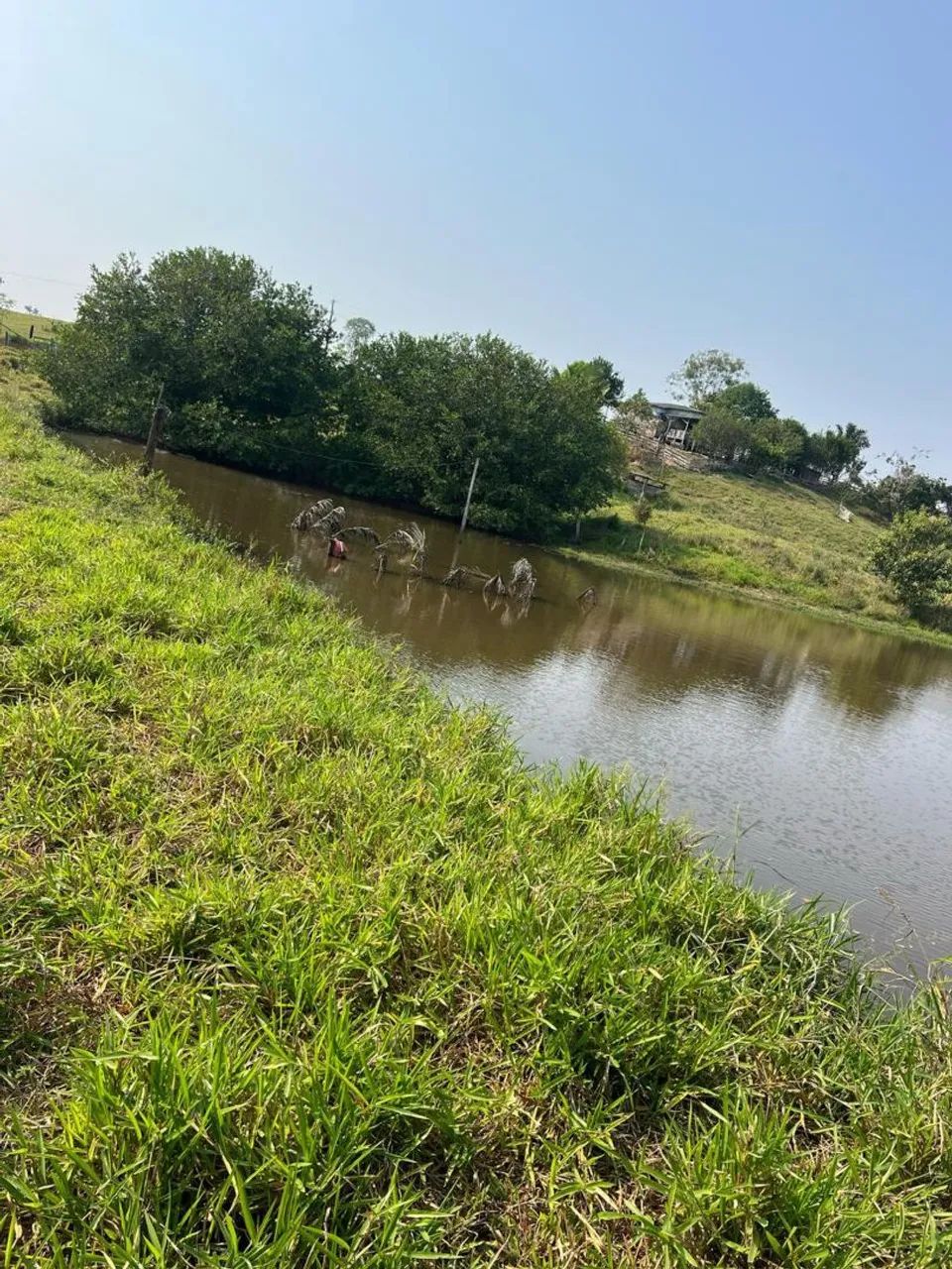 Terra titulada  - Foto 3