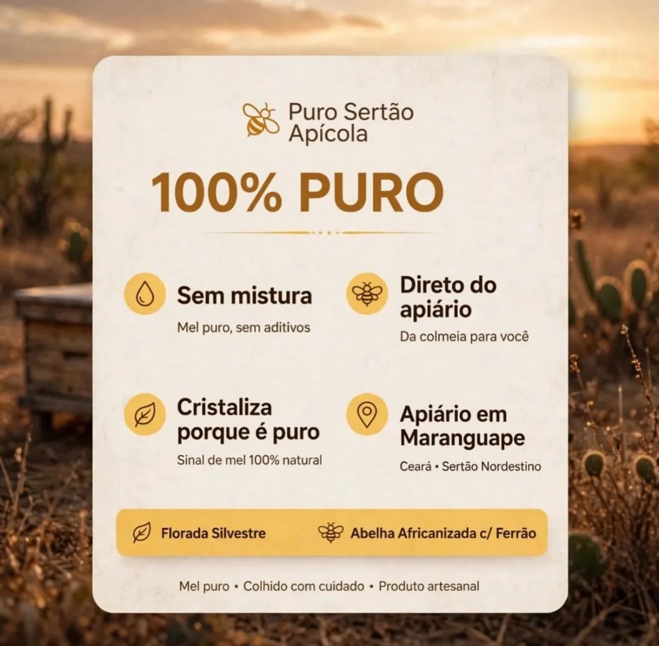 Mel de abelhas direto do apícultor - Foto 3