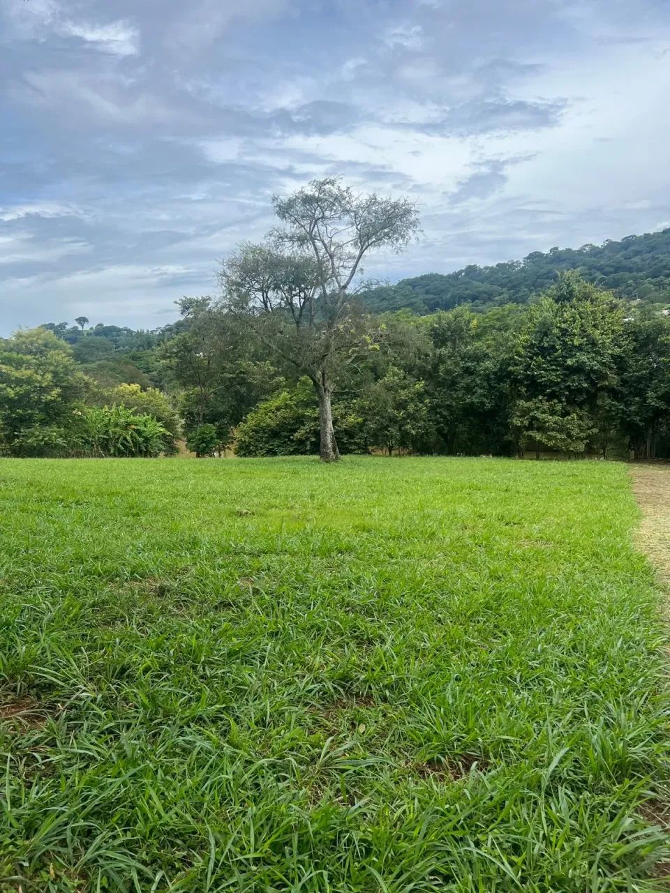 LOTE COM LAGO AO FUNDO - Foto 4