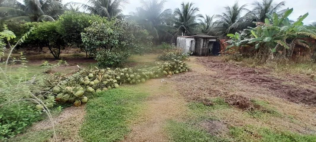 Vendo ou Troco Sítio Em Paraipaba 