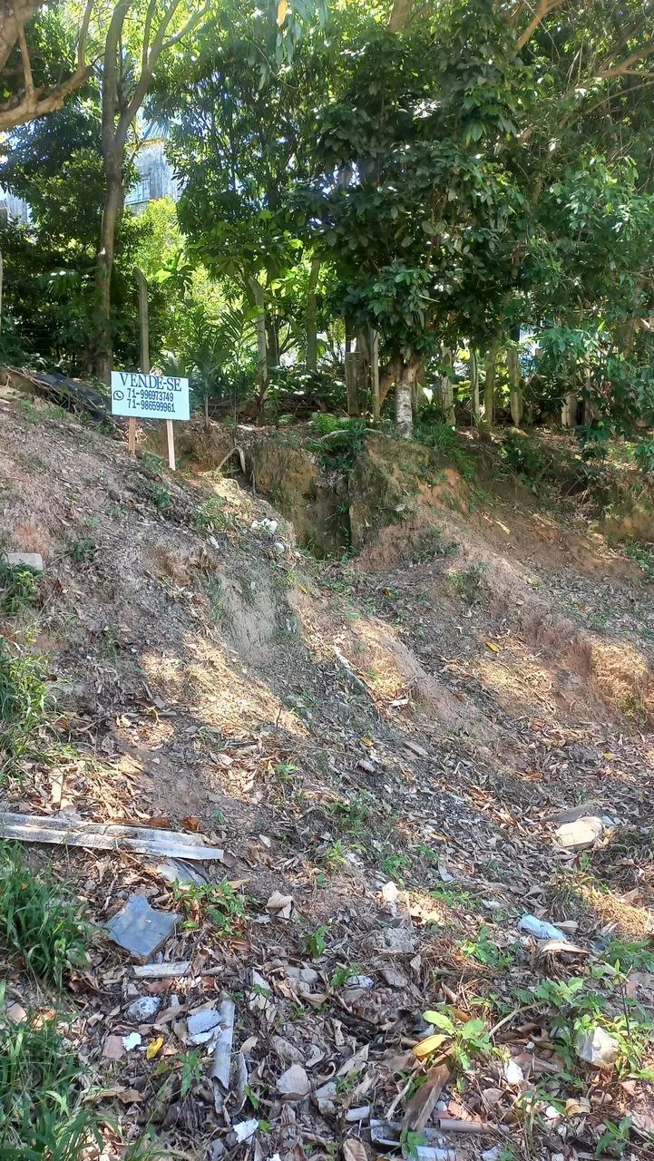Terreno - Foto 5