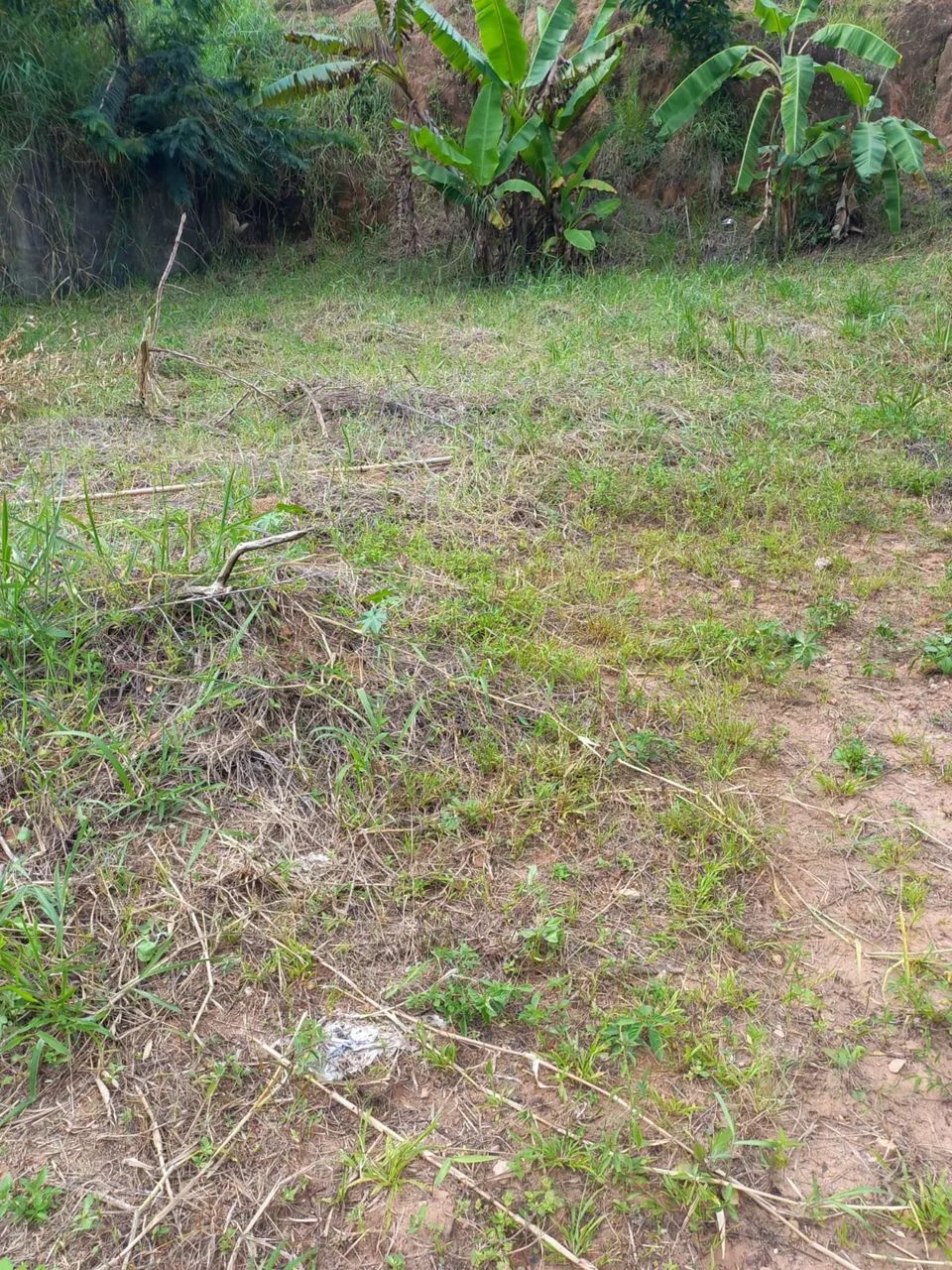 Terreno 300 metros  - Foto 4