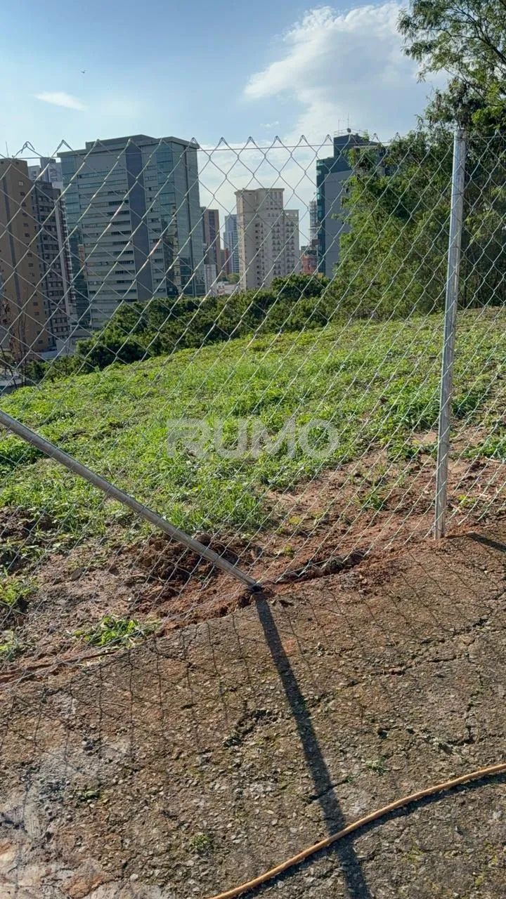 Terreno à Venda Bairro Nova Campinas- Campinas SP - Foto 4
