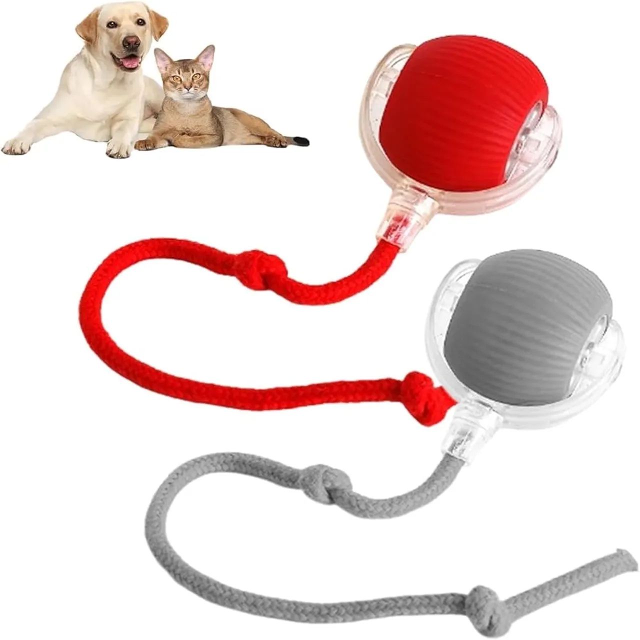 ? BOLINHA INTERATIVA AUTOMÁTICA PARA CÃES E GATOS ?  - Foto 5