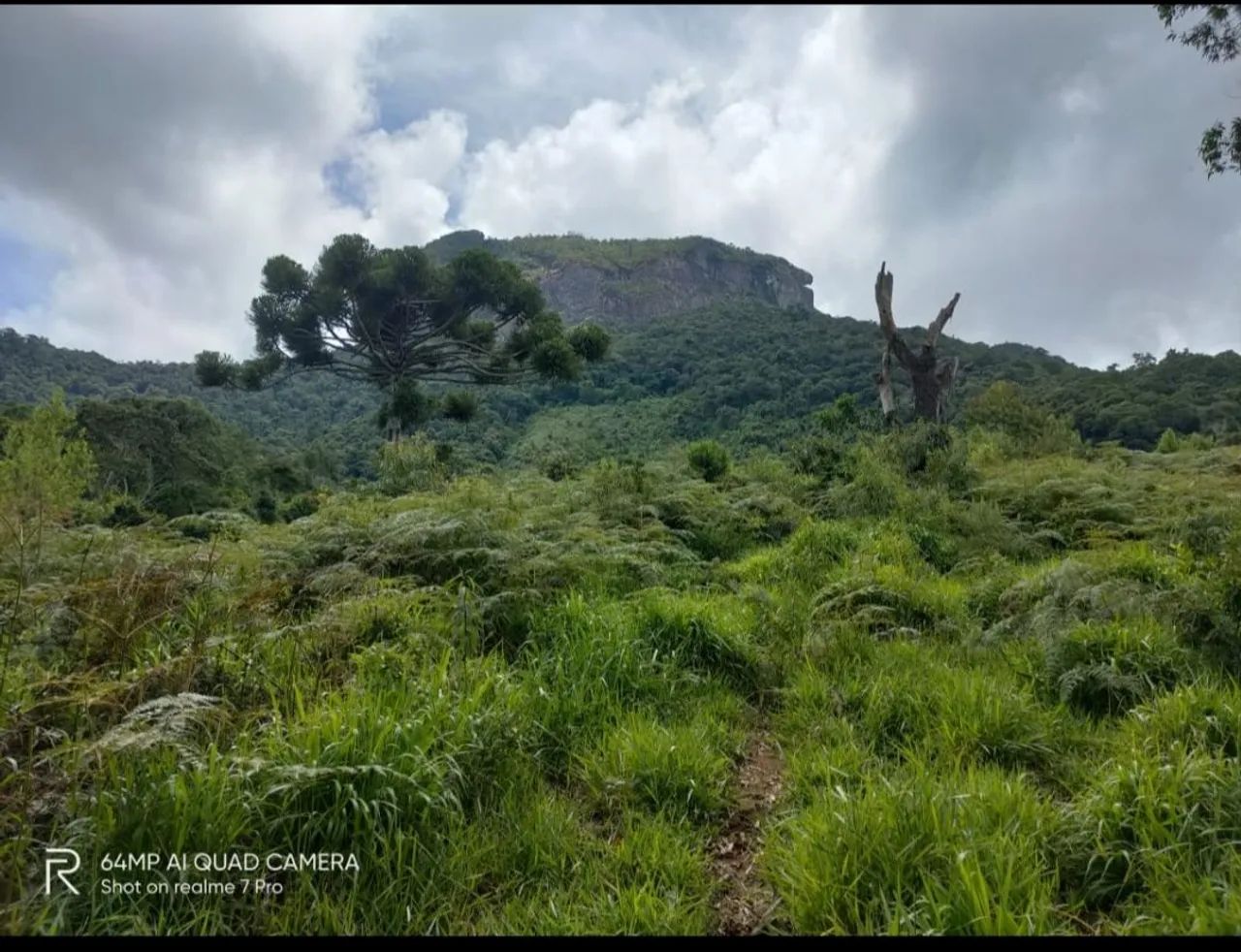 Foto - Campos do Jordão - 