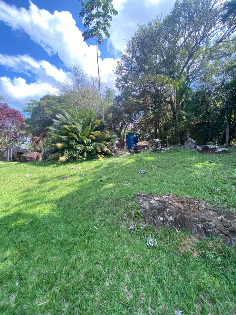 chácara - Sousas - Campinas - Foto 5