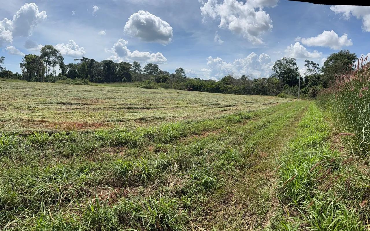 Chácara à Venda de 22.000m² em Nerópolis - Foto 5