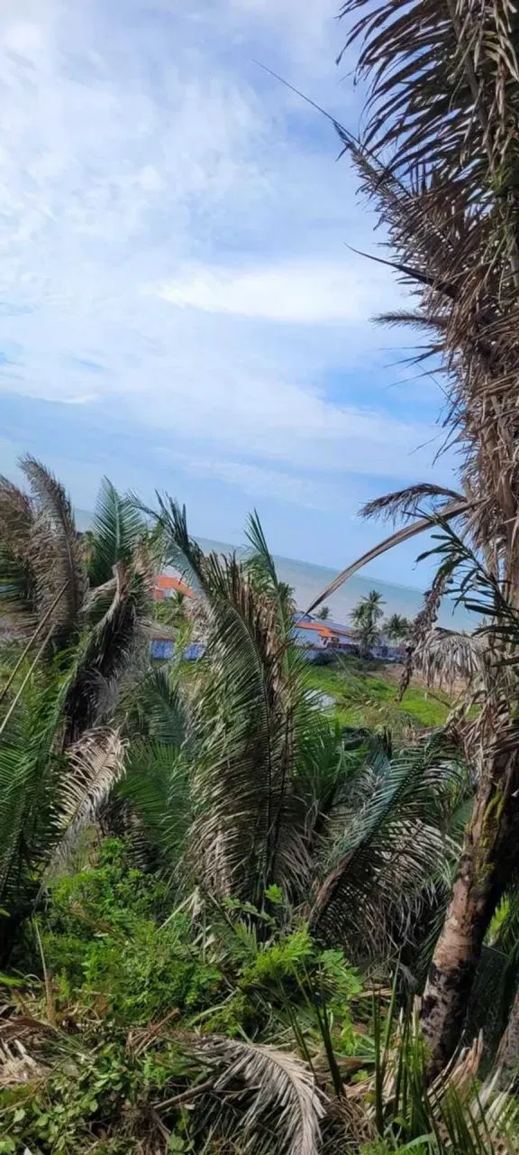 PRAIA DE PANAQUATIRA: Terreno à venda vista mar  Grande Ilha de São Luís. - Foto 4