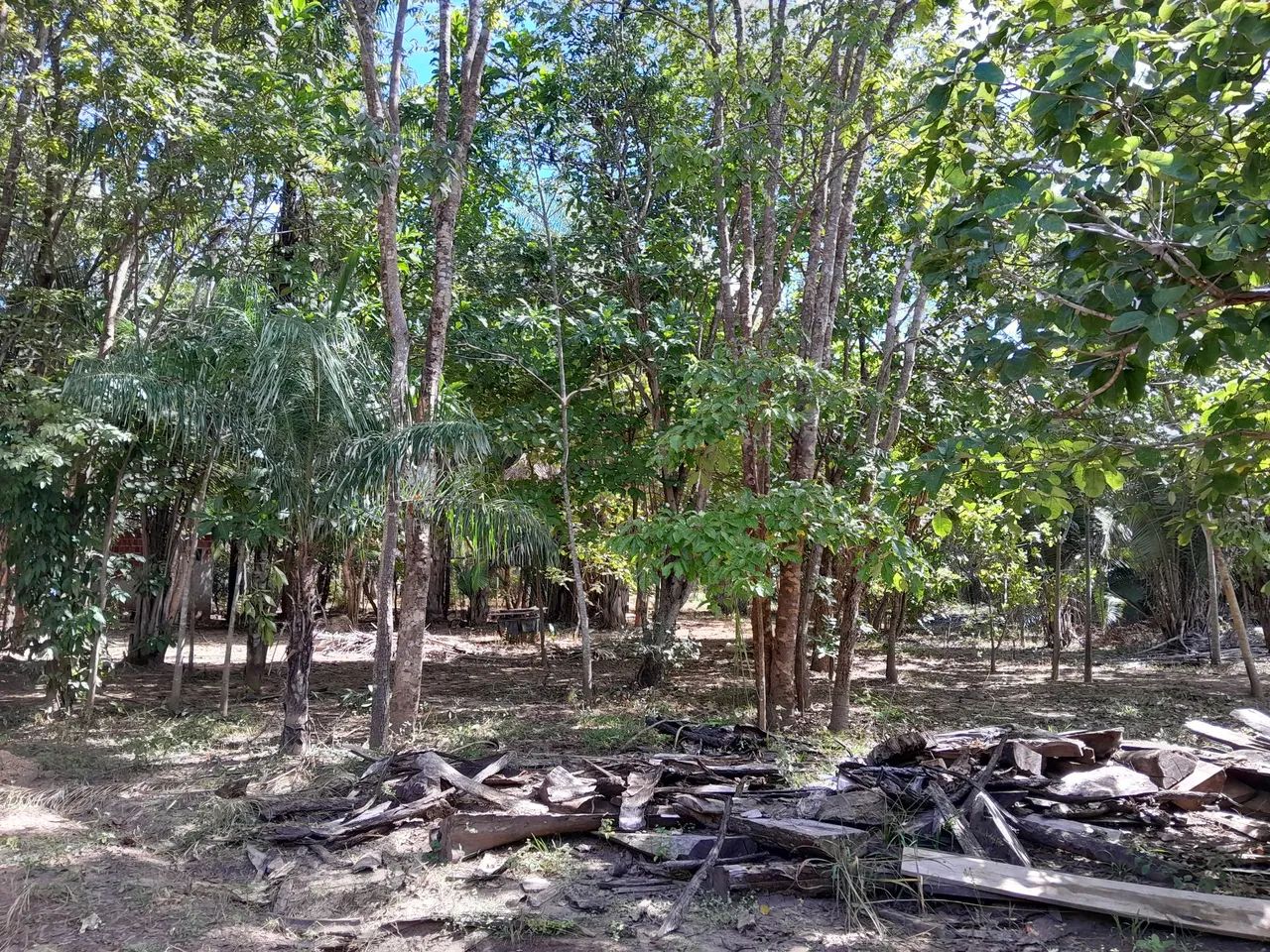 CHACARA DISTRITO DE SANTA ROSA DE LIMA PRÓXIMO DE FORMOSA E DO JK - Foto 4