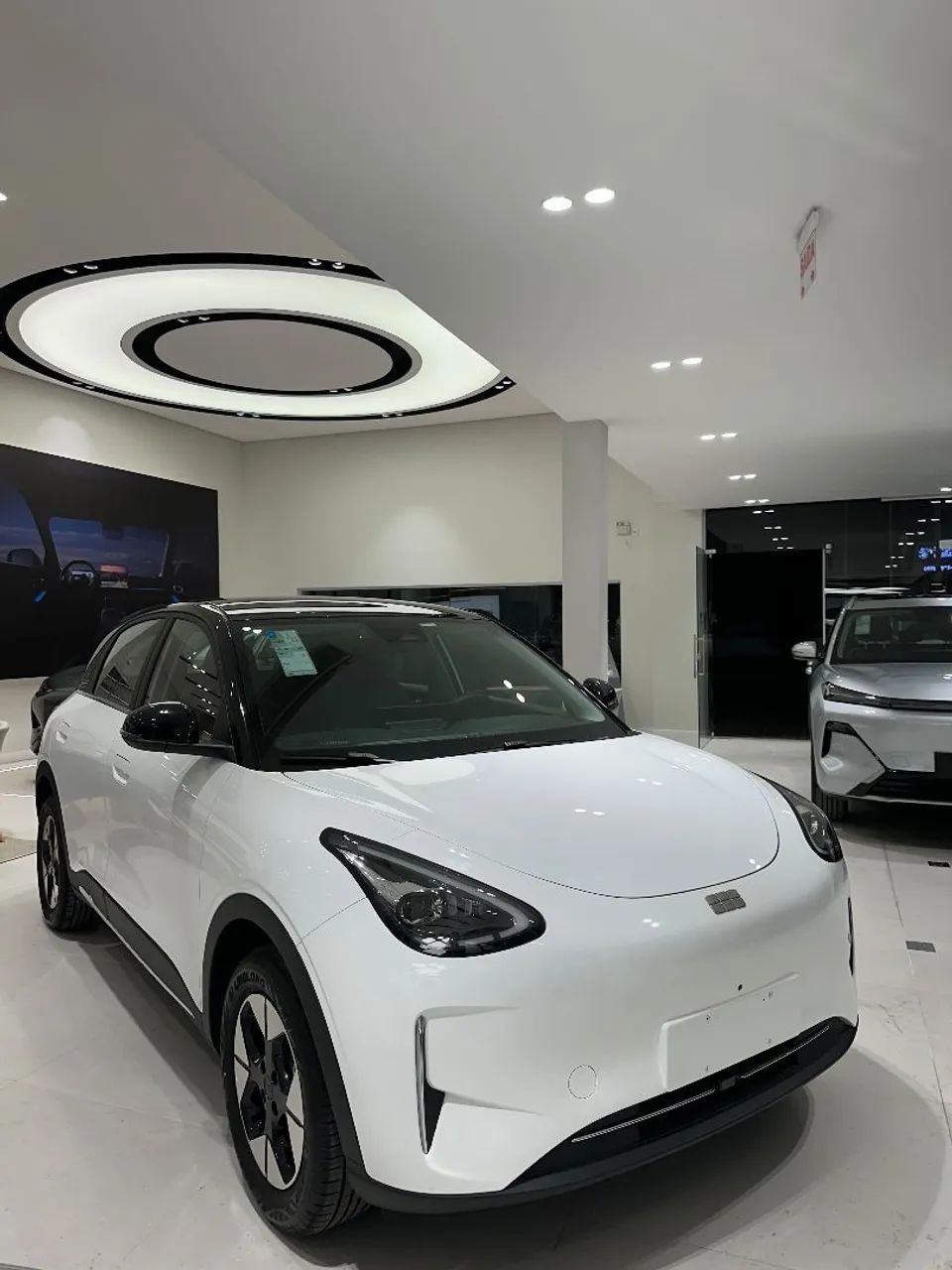 Geely EX2 Max 2026