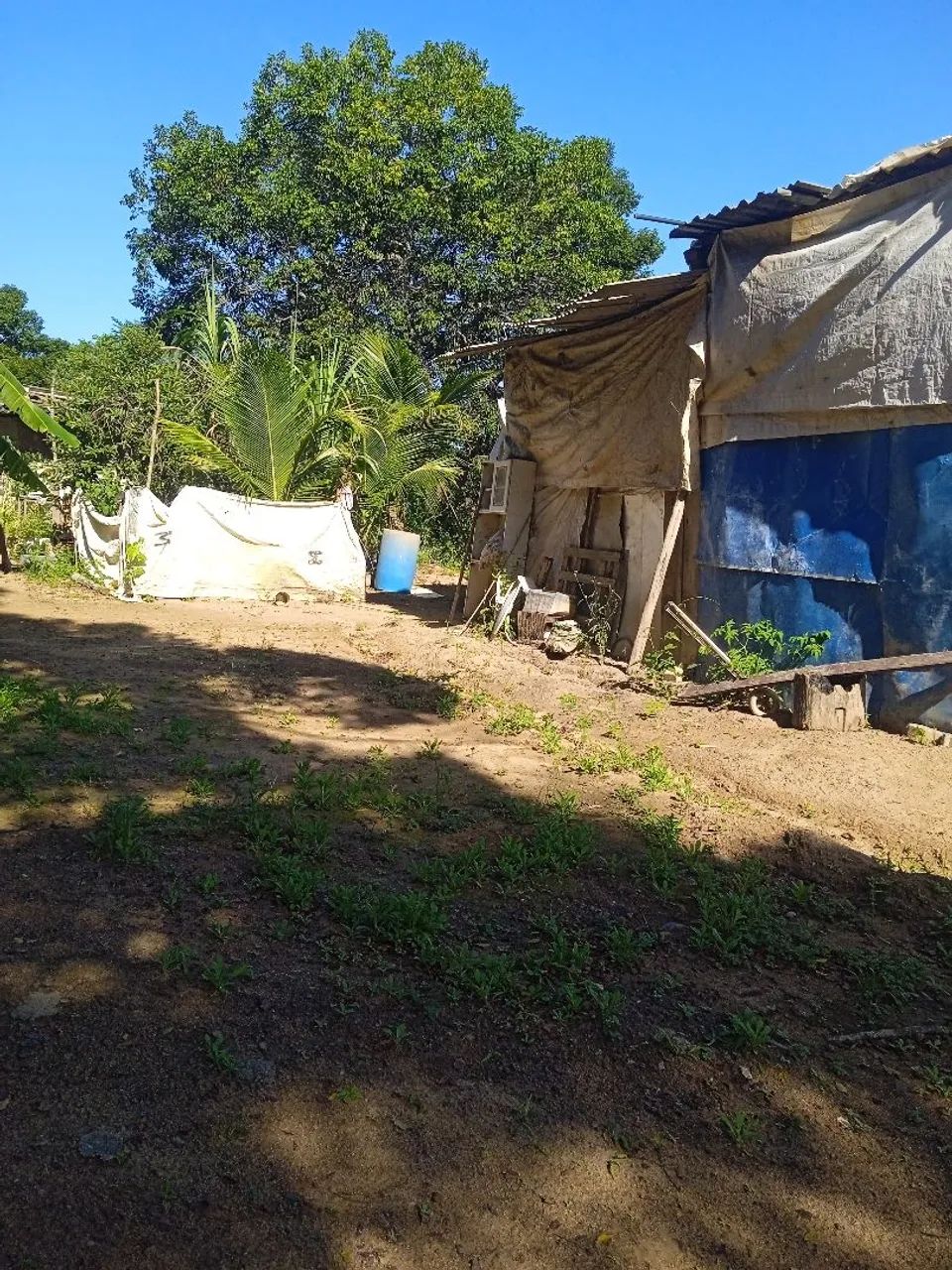 Lote  - Foto 2