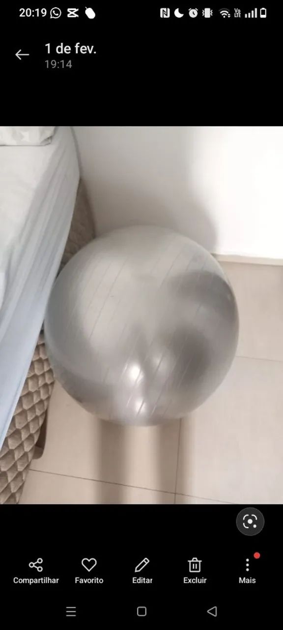 Bola para gestantes ou Pilates.