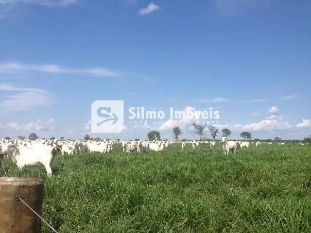 Venda Fazenda ÁREA RURAL DE LAGOA DA CONFUSÃO - Foto 3
