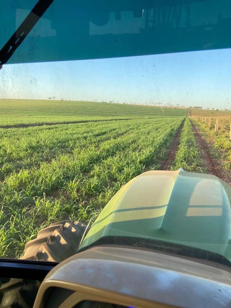 Fazenda dupla aptidão Mato Grosso Sul 