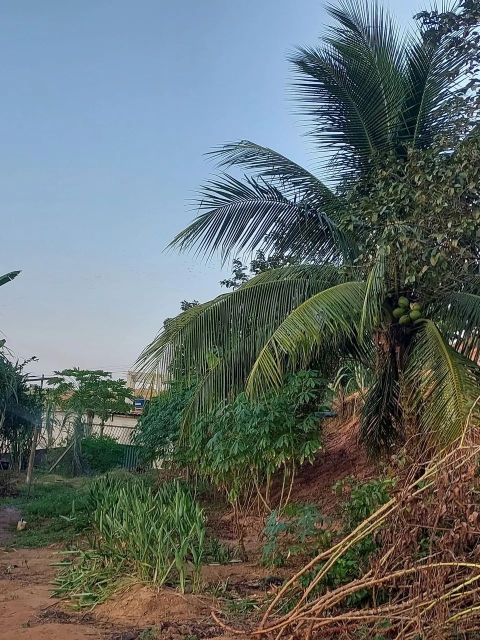 Vende terreno em itapemirim - Foto 5