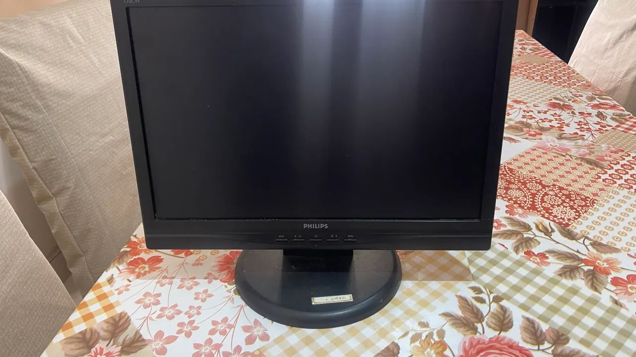 monitor philips 170cw