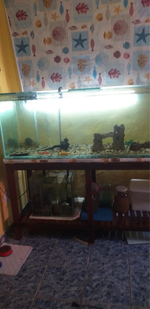 MEGA AQUÁRIO 400 LITROS BEM CONSERVADO - Foto 5