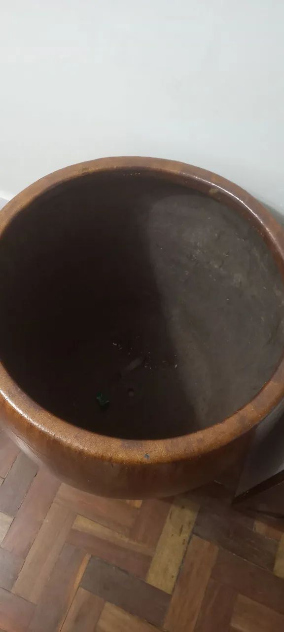 Jardinagem  e plantas - Foto 4